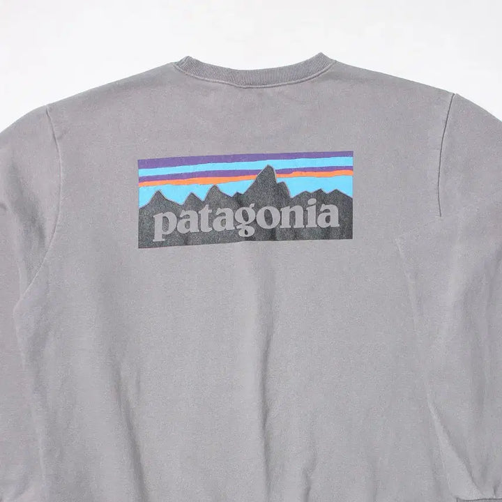 [BUNJANG] Patagonia Responsibility Relaxed Fit L T-Shirt / 105 파타고니아 리스폰시빌리티 릴렉스핏