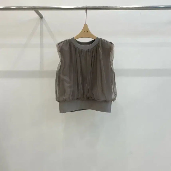 [BUNJANG] Neutral Tone Mesh Vest &amp; Layered Sleeveless Top / 뉴트럴톤 망사 베스트 / 레이어드 4계절 이너탑 민소매 티셔츠 레이스