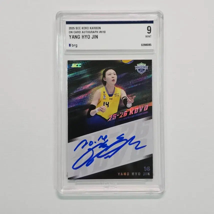 [SOLD OUT] 양효진 2025 SCC KOVO 카본 온오토 15한정 BRG 9