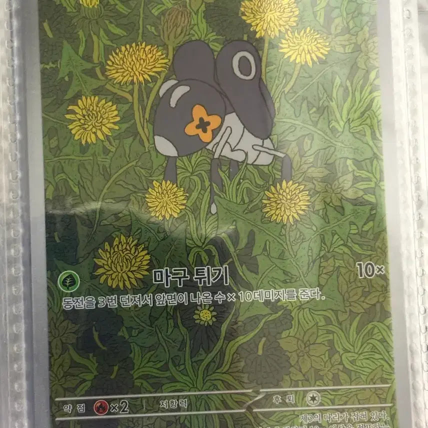 [SOLD OUT] [귀여운 포켓몬카드] 콩알뚜기 AR