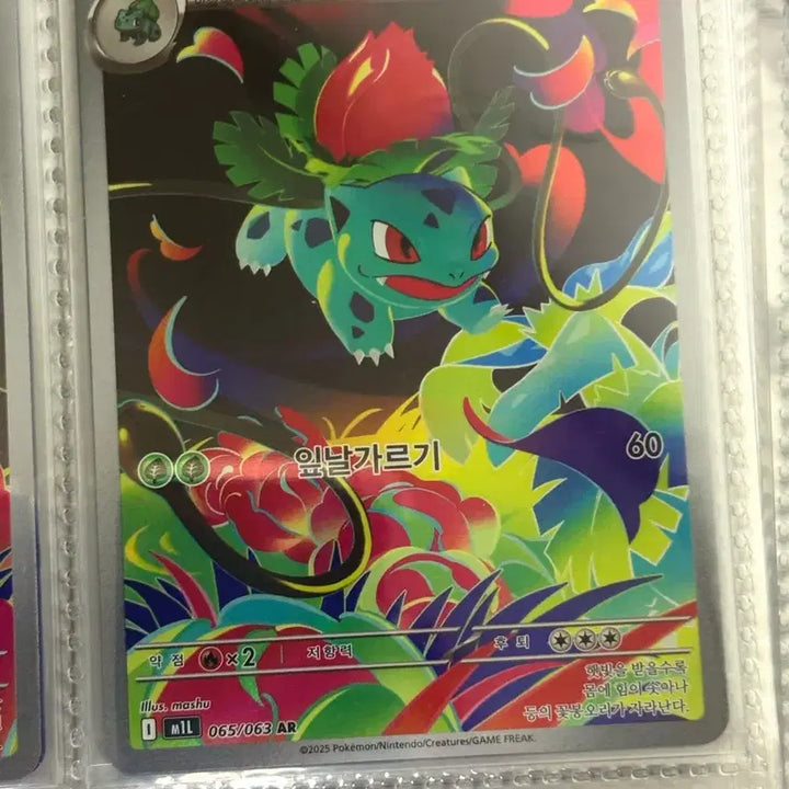 [BUNJANG] Pokemon Bulbasaur AR Card / [귀여운 포켓몬카드] 이상해풀 AR