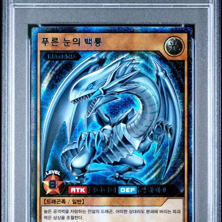 [BUNJANG] Yu-Gi-Oh! 777 Limited Red Rush White Dragon PSA9 Card / 유희왕 777 한정 레드 러시 백룡 PSA9 팝니다