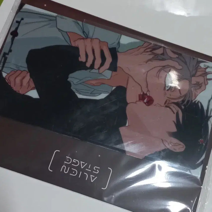 [BUNJANG] A-STE Karma Ivantil Acrylic Stand / 판매) 에이스테 카르마 이반틸 아크릴
