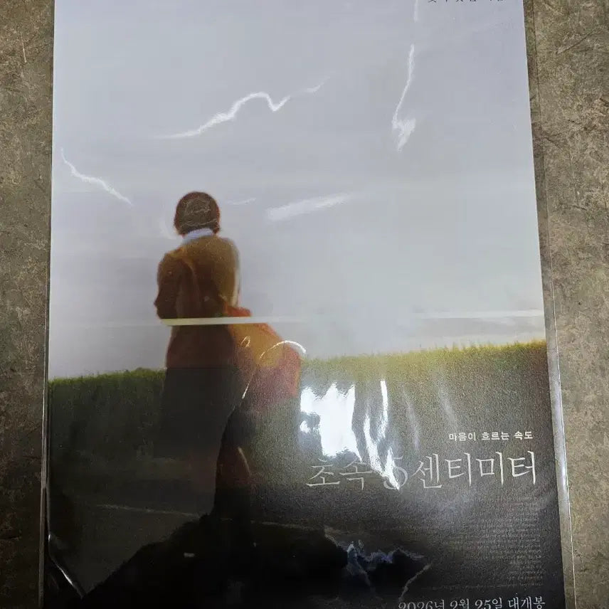 [BUNJANG] 5 Centimeters per Second Kanae Poster / 초속5센티미터 카나에 포스터