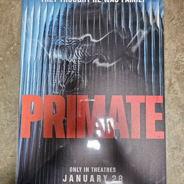 [BUNJANG] Primate Window Poster / 프라이메이트 창문 포스터
