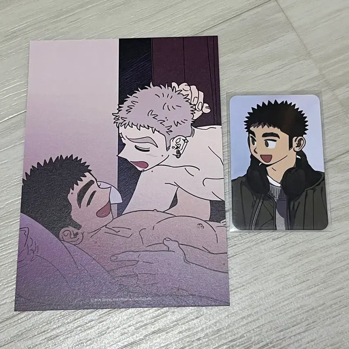 [BUNJANG] Sena-gae Arctic Fox Second Echo Photocard and Postcard / 세나개 북극여우 세컨드에코 포카 엽서 판매합니다