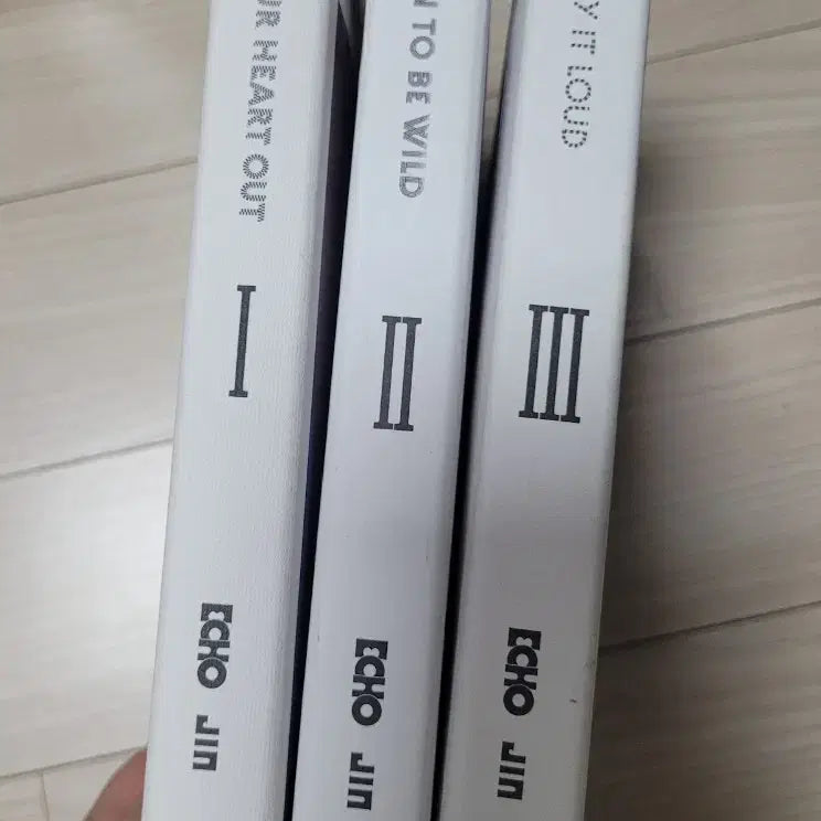 [SOLD OUT] BTS 진 JIN Echo