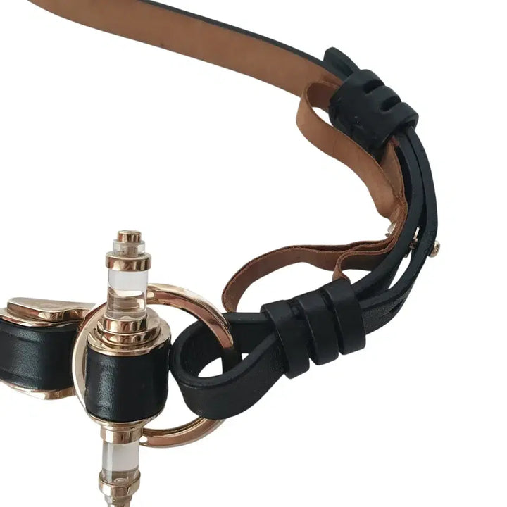 [BUNJANG] Givenchy Obsedia Belt S with Gold Hardware / 지방시 옵세디아 벨트 S / 골드 하드웨어 / 희소 아카이브