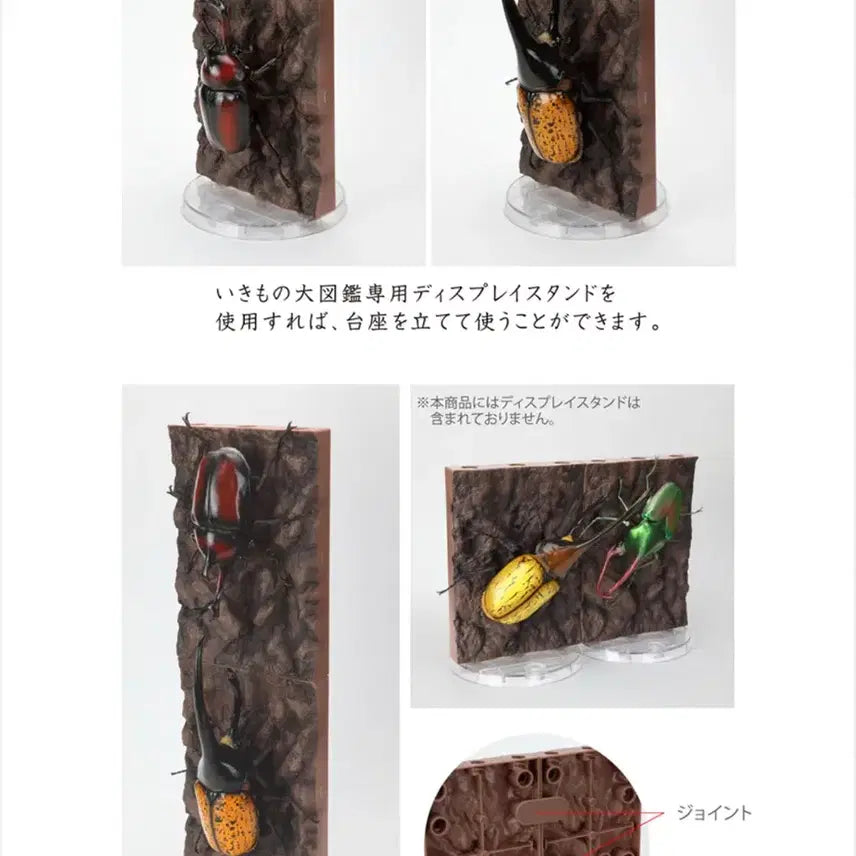 [BUNJANG] Bandai Beetle 9th Edition Display Set / 반다이 생물대도감 장수풍뎅이 9탄 6종 디스플레이 세트