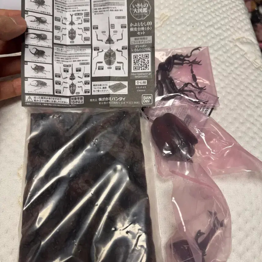 [BUNJANG] Bandai Beetle 9th Edition Display Set / 반다이 생물대도감 장수풍뎅이 9탄 6종 디스플레이 세트