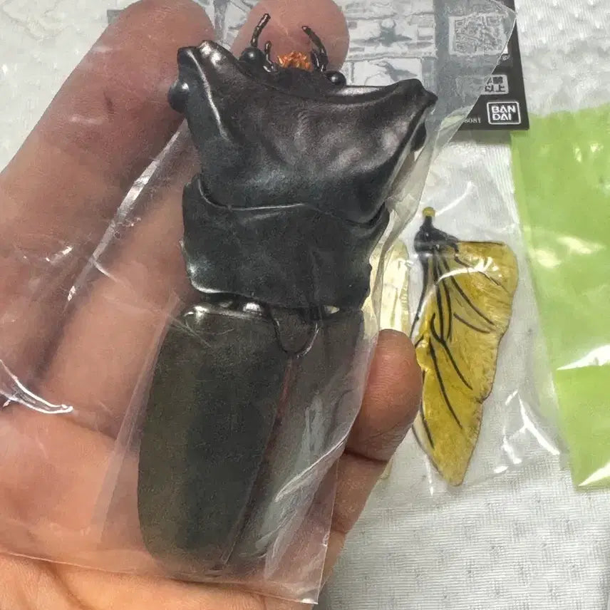 [BUNJANG] Bandai Insect Encyclopedia Stag Beetle 02 Advance Set Figure / 반다이 생물대도감 구와가타 (사슴벌레) 02 어드밴스 세트