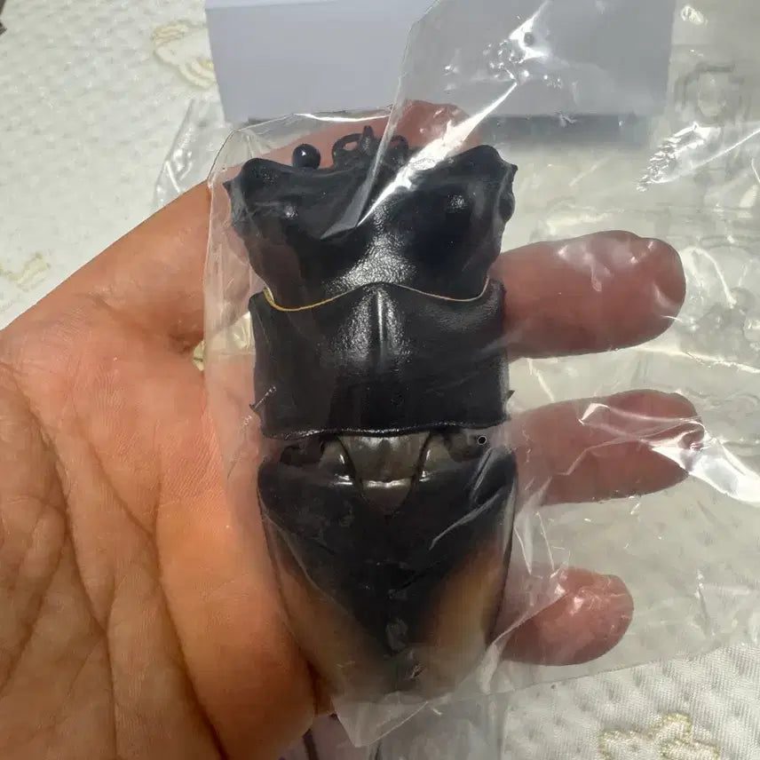 [BUNJANG] Bandai Insect Encyclopedia Stag Beetle 02 Advance Set Figure / 반다이 생물대도감 구와가타 (사슴벌레) 02 어드밴스 세트