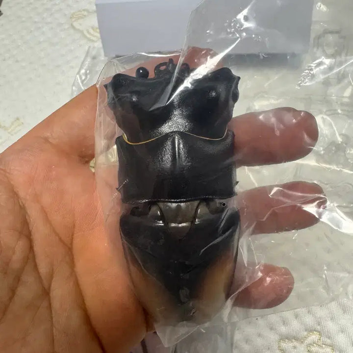 [BUNJANG] Bandai Insect Encyclopedia Stag Beetle 02 Advance Set Figure / 반다이 생물대도감 구와가타 (사슴벌레) 02 어드밴스 세트