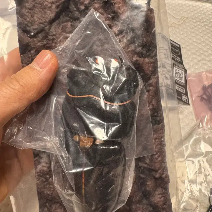 [BUNJANG] Bandai Insect Encyclopedia Stag Beetle 02 Advance Set Figure / 반다이 생물대도감 구와가타 (사슴벌레) 02 어드밴스 세트