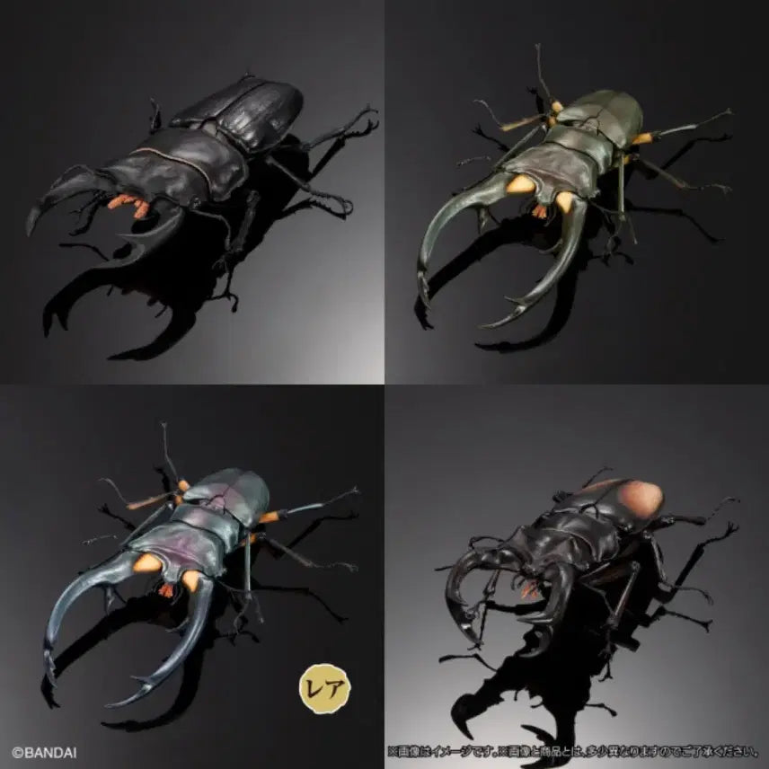 [BUNJANG] Bandai Insect Encyclopedia Stag Beetle 02 Advance Set Figure / 반다이 생물대도감 구와가타 (사슴벌레) 02 어드밴스 세트