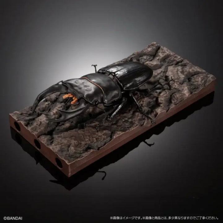 [BUNJANG] Bandai Insect Encyclopedia Stag Beetle 02 Advance Set Figure / 반다이 생물대도감 구와가타 (사슴벌레) 02 어드밴스 세트