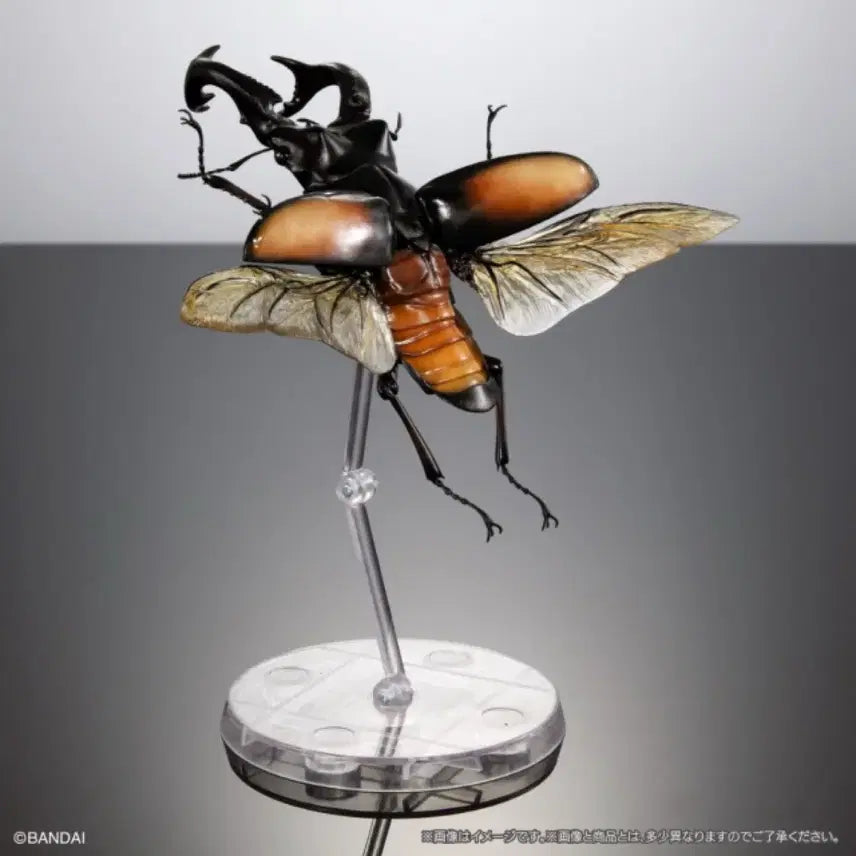 [BUNJANG] Bandai Insect Encyclopedia Stag Beetle 02 Advance Set Figure / 반다이 생물대도감 구와가타 (사슴벌레) 02 어드밴스 세트
