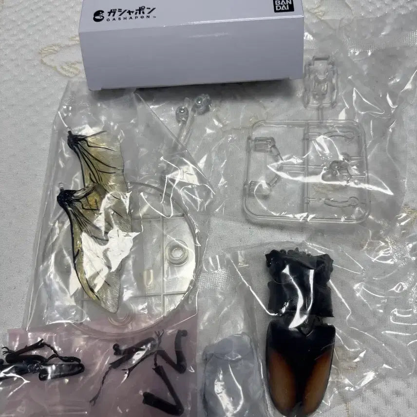 [BUNJANG] Bandai Insect Encyclopedia Stag Beetle 02 Advance Set Figure / 반다이 생물대도감 구와가타 (사슴벌레) 02 어드밴스 세트