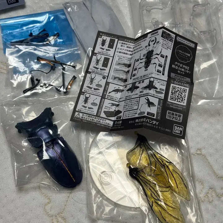 [BUNJANG] Bandai Insect Encyclopedia Stag Beetle 02 Advance Set Figure / 반다이 생물대도감 구와가타 (사슴벌레) 02 어드밴스 세트