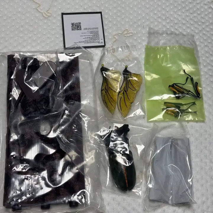 [BUNJANG] Bandai Insect Encyclopedia Stag Beetle 02 Advance Set Figure / 반다이 생물대도감 구와가타 (사슴벌레) 02 어드밴스 세트