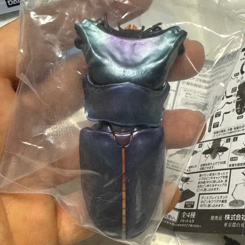 [BUNJANG] Bandai Insect Encyclopedia Stag Beetle 02 Advance Set Figure / 반다이 생물대도감 구와가타 (사슴벌레) 02 어드밴스 세트
