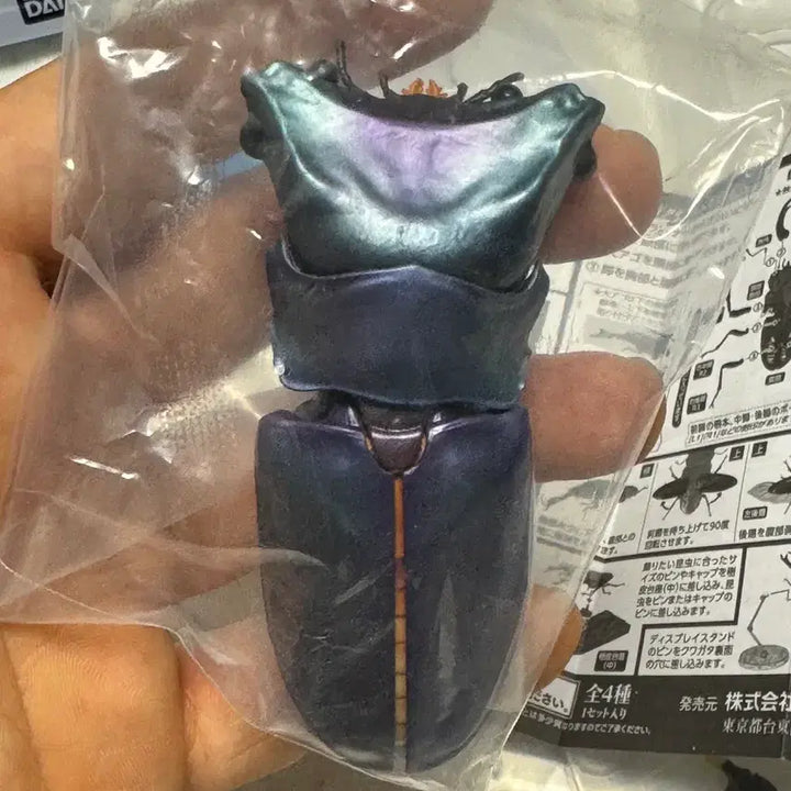 [BUNJANG] Bandai Insect Encyclopedia Stag Beetle 02 Advance Set Figure / 반다이 생물대도감 구와가타 (사슴벌레) 02 어드밴스 세트