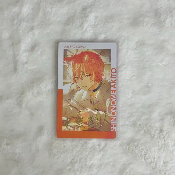 [BUNJANG] Project Sekai Akito Epics Rare Set / 프세카 아키토 강아지벤 이픽 레어 21C