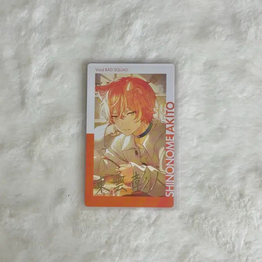 [BUNJANG] Project Sekai Akito Epics Rare Set / 프세카 아키토 강아지벤 이픽 레어 21C