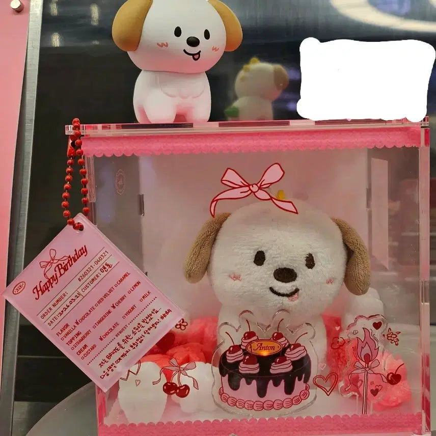 [BUNJANG] RIIZE Anton Birthday Acrylic Box / 2026 앤톤 생일 MD 아크릴박스