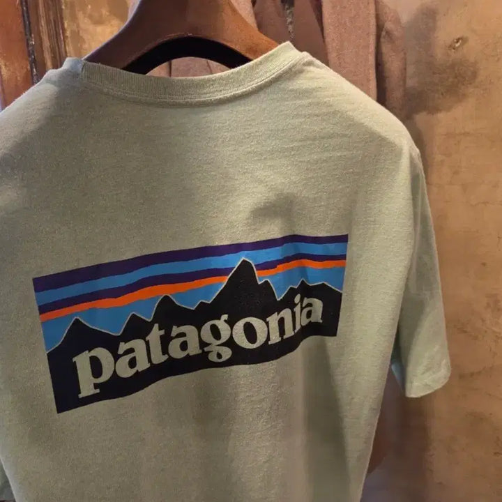 [BUNJANG] Patagonia Organic Cotton T-shirt / 파타고니아 오가닉 코튼 티셔츠