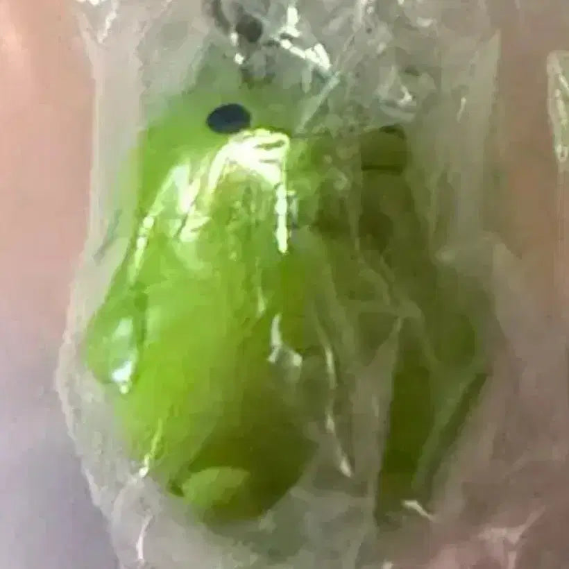[SOLD OUT] 급전할인)다마고치 멀티참 쿠치파치 주댕치