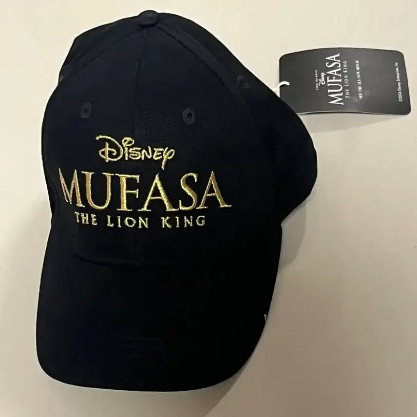 [BUNJANG] Disney Moana Mufasa Warner Bros. Flash Official Hat / 디즈니 모아나 무파사 워너브라더스 플래시 공식 모자 굿즈 판매합니다