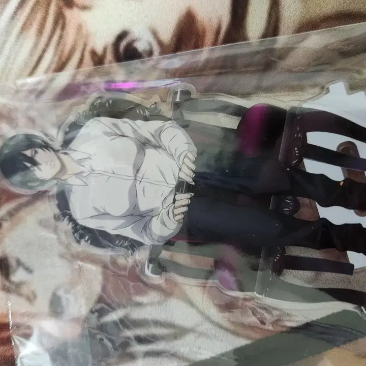 [BUNJANG] Attack on Titan Mikasa Acrylic Stand / 진격의거인 미카사 아크릴스탠드