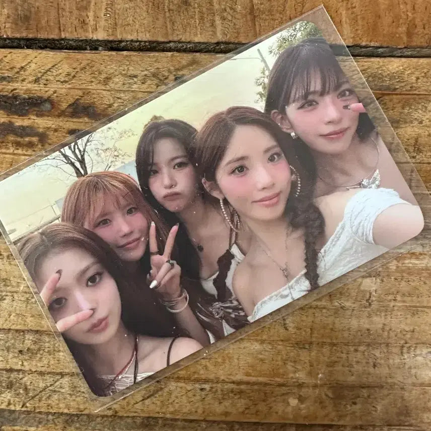[BUNJANG] fromis_9 Group Photocard / [판매] 프로미스나인 단체 포토카드