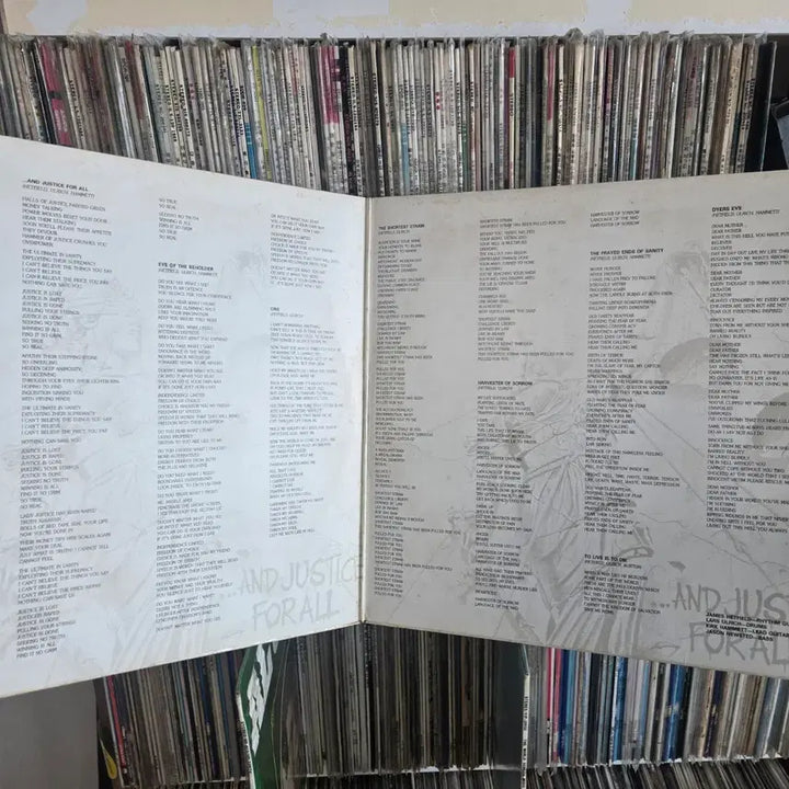 [BUNJANG] Metallica 2x LP Vinyl Record Set - Mint Condition / 메탈리카 LP판 2장 민트급