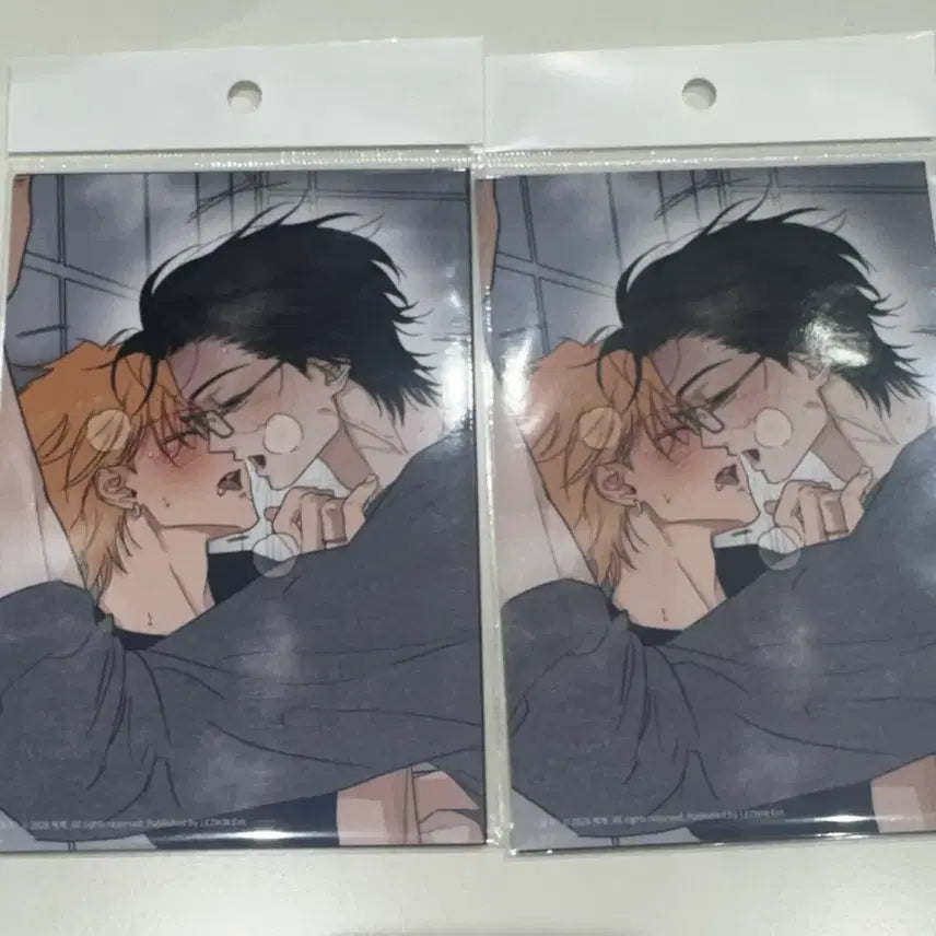 [BUNJANG] Le Bom New Year Full Book Photo Resin / 레봄 근하신년 풀북 인화사진 레진 봄툰