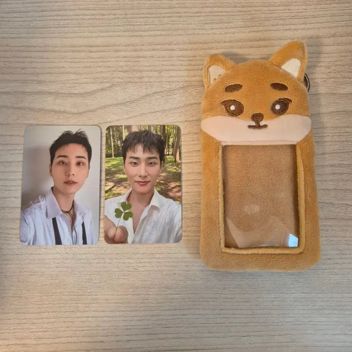 [BUNJANG] Young K Levitating No. Clover Photocard Holder Set / 영케이 레윗노 포카홀더 클로버 포카