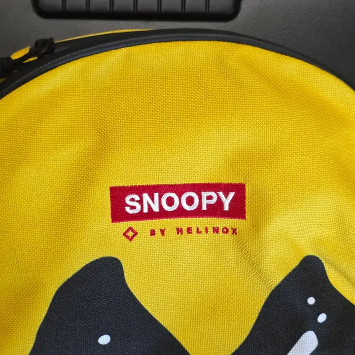 [BUNJANG] Helinox Snoopy Charlie Brown Backpack / 헬리녹스 스누피 찰리브라운 백팩