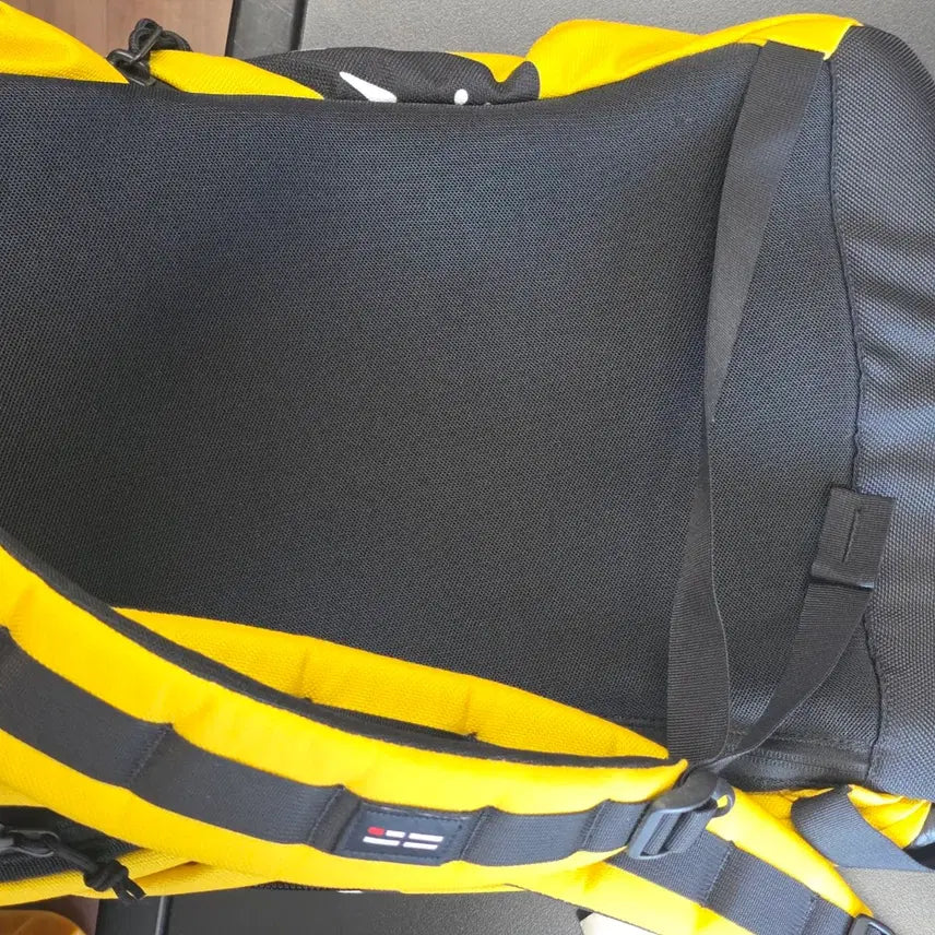 [BUNJANG] Helinox Snoopy Charlie Brown Backpack / 헬리녹스 스누피 찰리브라운 백팩