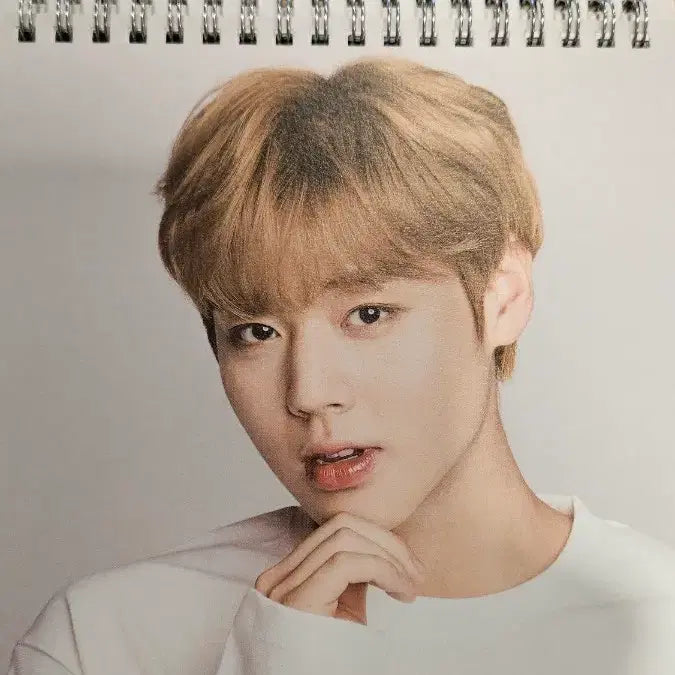 [BUNJANG] Park Jihoon Wanna One Official Calendar / 박지훈 워너원 달력(공식)