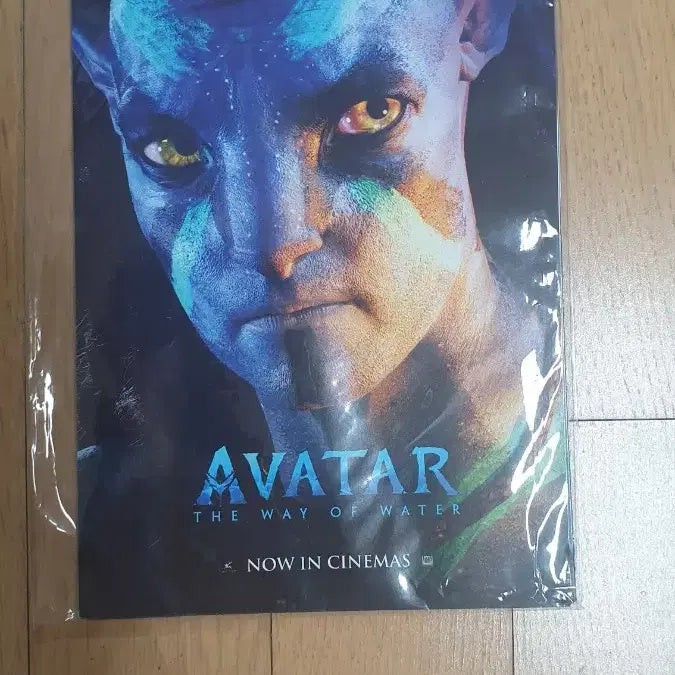 [SOLD OUT] 아바타 물의길 캐릭터 엽서 판매합니다