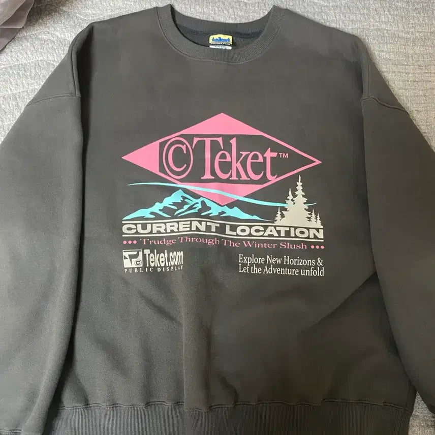 [BUNJANG] Teket M Size Fleece Sweatshirt / 테켓 맨투맨(기모)