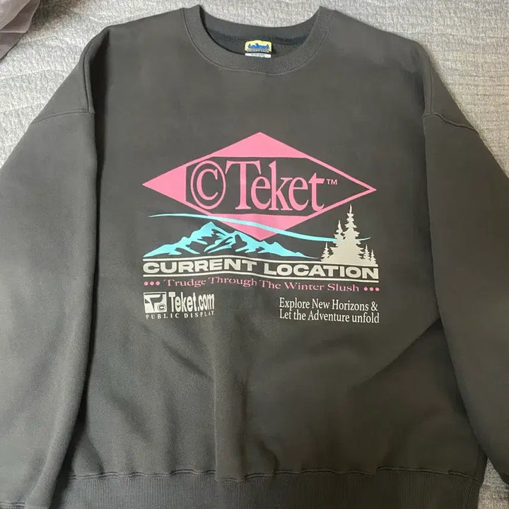 [BUNJANG] Teket M Size Fleece Sweatshirt / 테켓 맨투맨(기모)