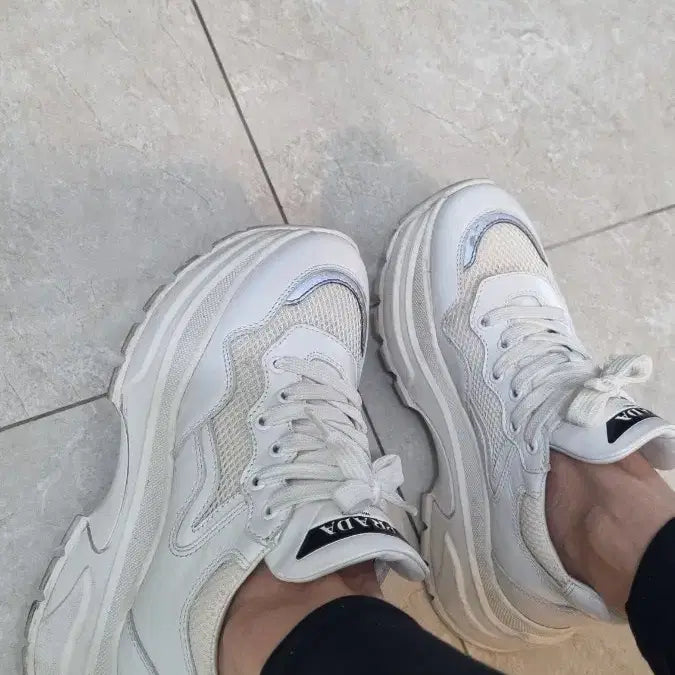 [BUNJANG] Prada Sneakers / 프라다 스니커즈