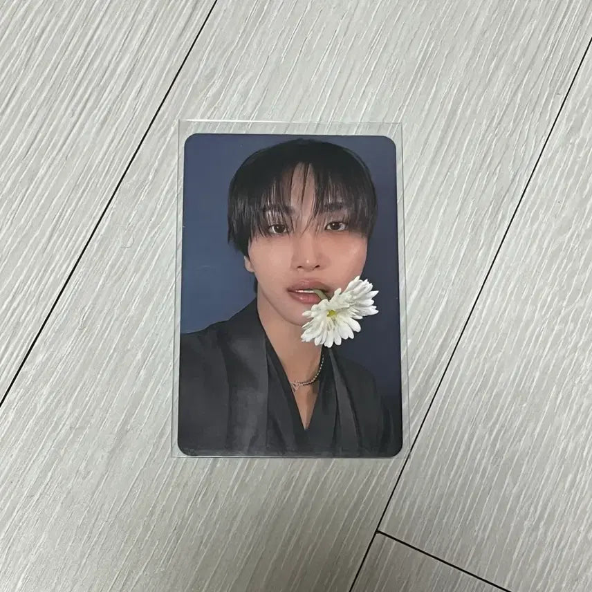 [SOLD OUT] 에이티즈 성화 애플뮤직 꽃 버전 양도