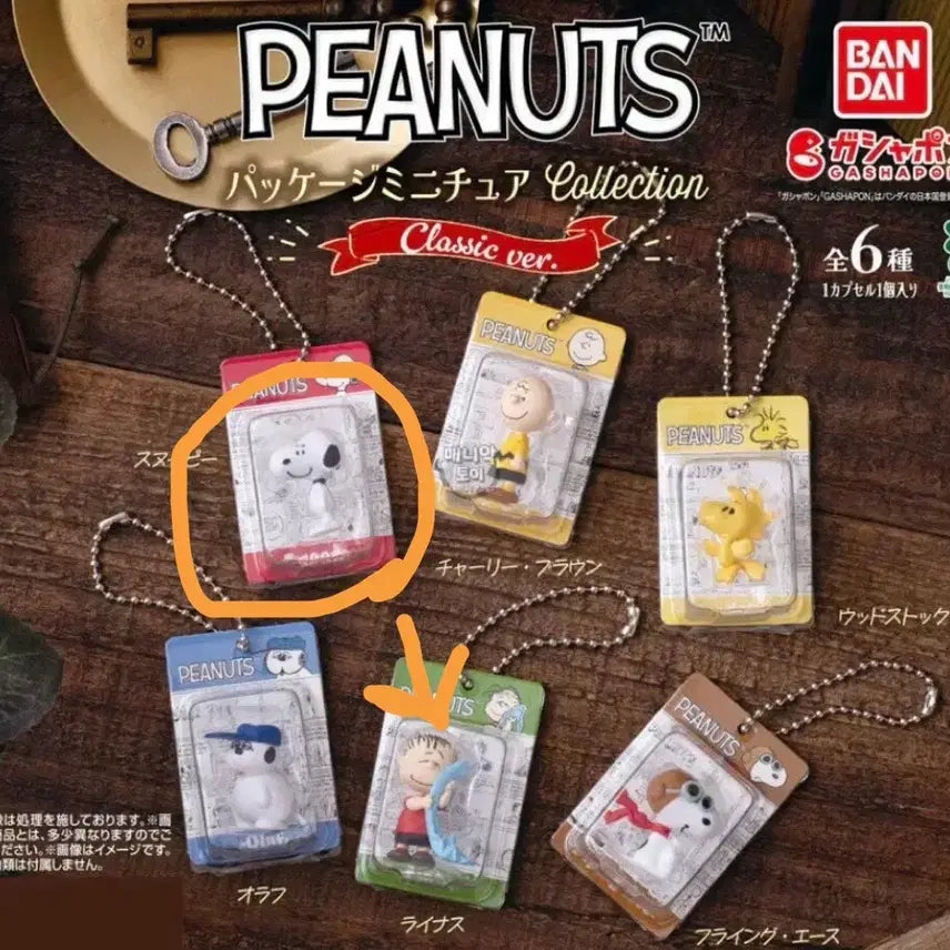 [BUNJANG] Snoopy Package Gacha / 스누피 패키지 가챠