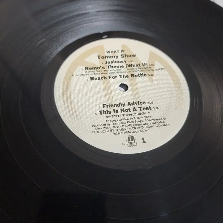 [BUNJANG] Tommy Shaw What If LP / Tommy Shaw 토미 쇼 What If lp