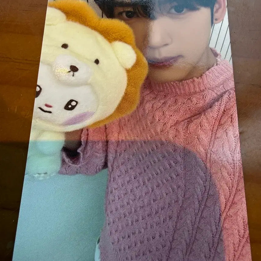 [BUNJANG] Han Yu Jin Zerobaseone Wonderland Photocard / 제베원 ZB1 제로니 원더랜드 팝업 5만원 포카