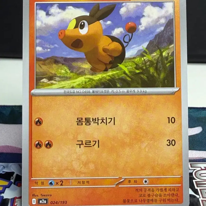 [BUNJANG] Ttukguri General Card A Grade / 뚜꾸리 일반 카드 A급 [300원]