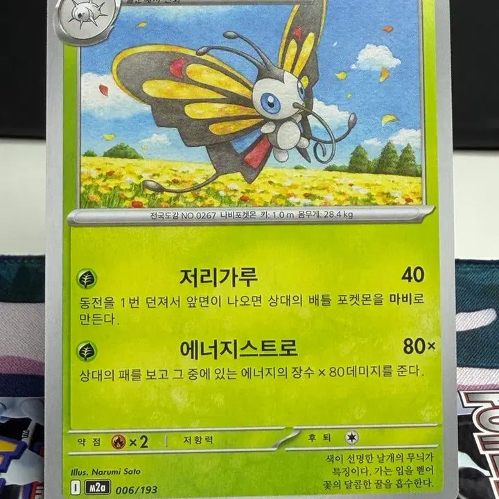 [BUNJANG] Beautifully General Card A Grade / 뷰티플라이 일반 카드 A급 [300원]